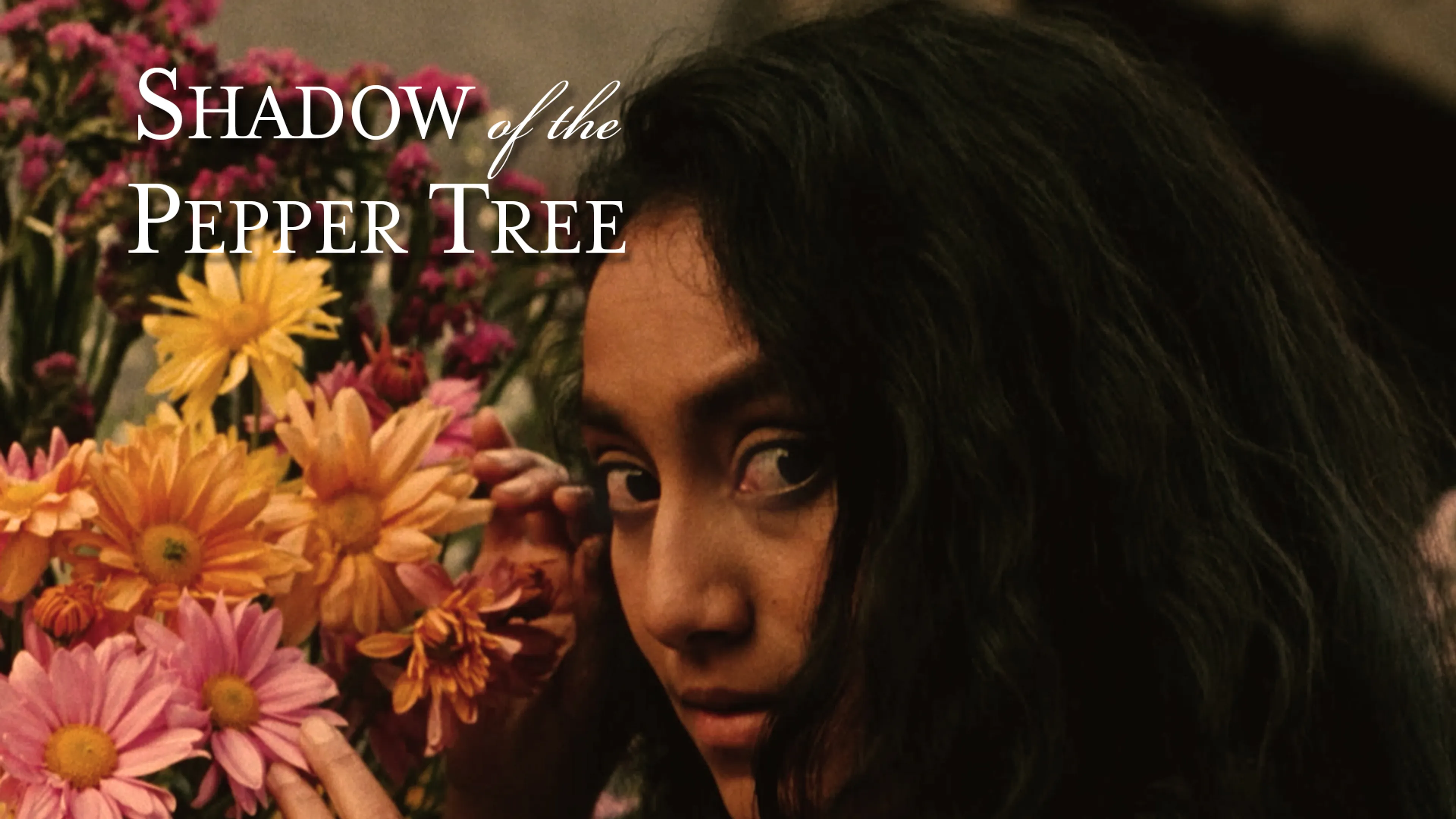 Shadow of the Pepper Tree poster